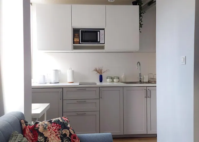 Marel-apartament 11 두슈니키 즈드로지